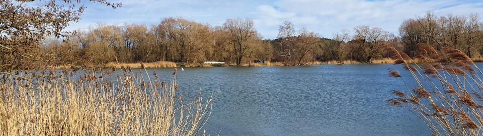 Allershausener See
